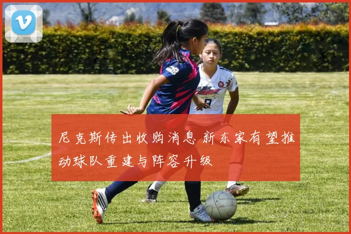 尼克斯传出收购消息 新东家有望推动球队重建与阵容升级