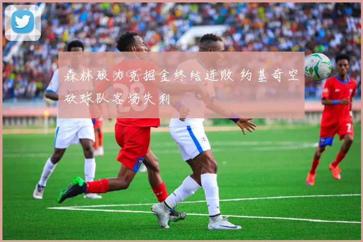 森林狼力克掘金终结连败 约基奇空砍球队客场失利