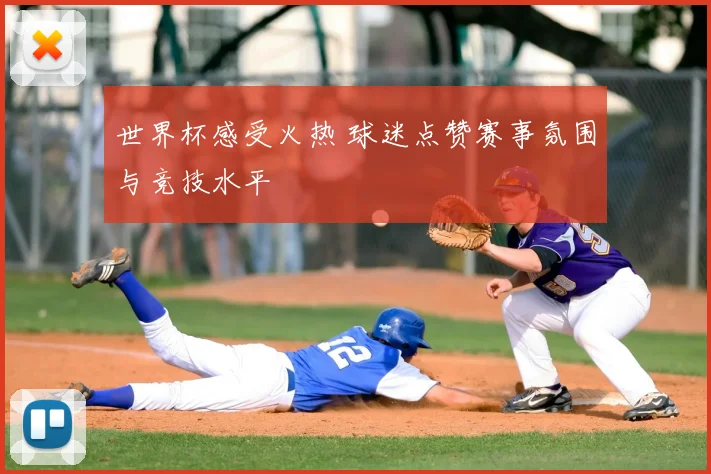 世界杯感受火热 球迷点赞赛事氛围与竞技水平