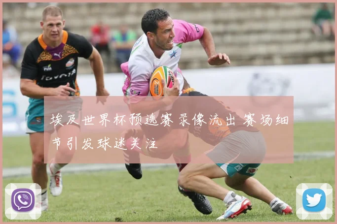 埃及世界杯预选赛录像流出 赛场细节引发球迷关注
