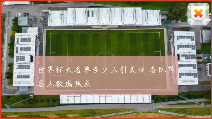 世界杯大名单多少人引关注 各队阵容人数成焦点