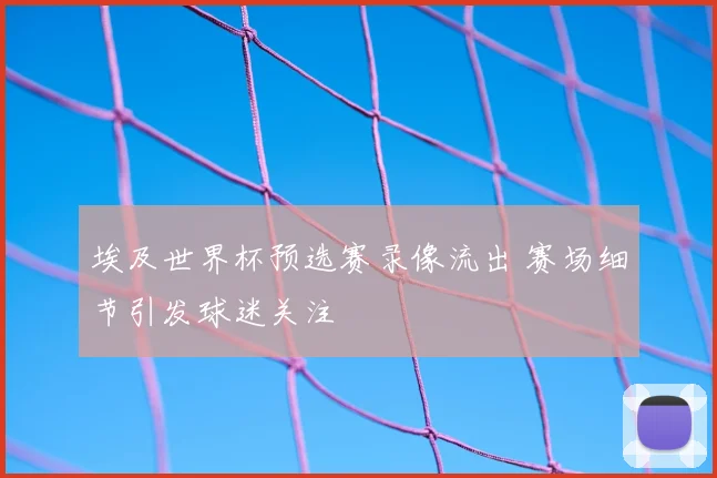 埃及世界杯预选赛录像流出 赛场细节引发球迷关注