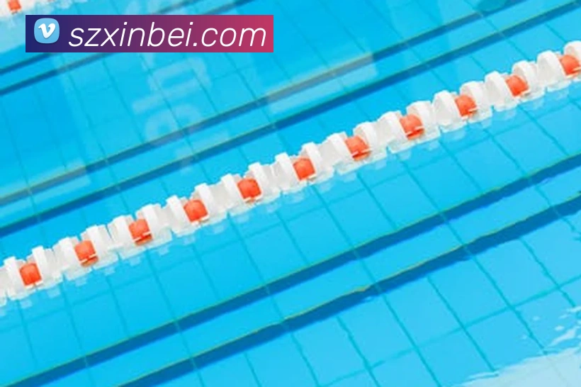 多媒体互动体验